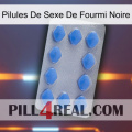 Black Ant Sex Pills 21